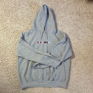 Gray Hoodie with Colorful Logo